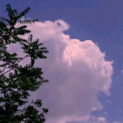 放置毒将满v版下载